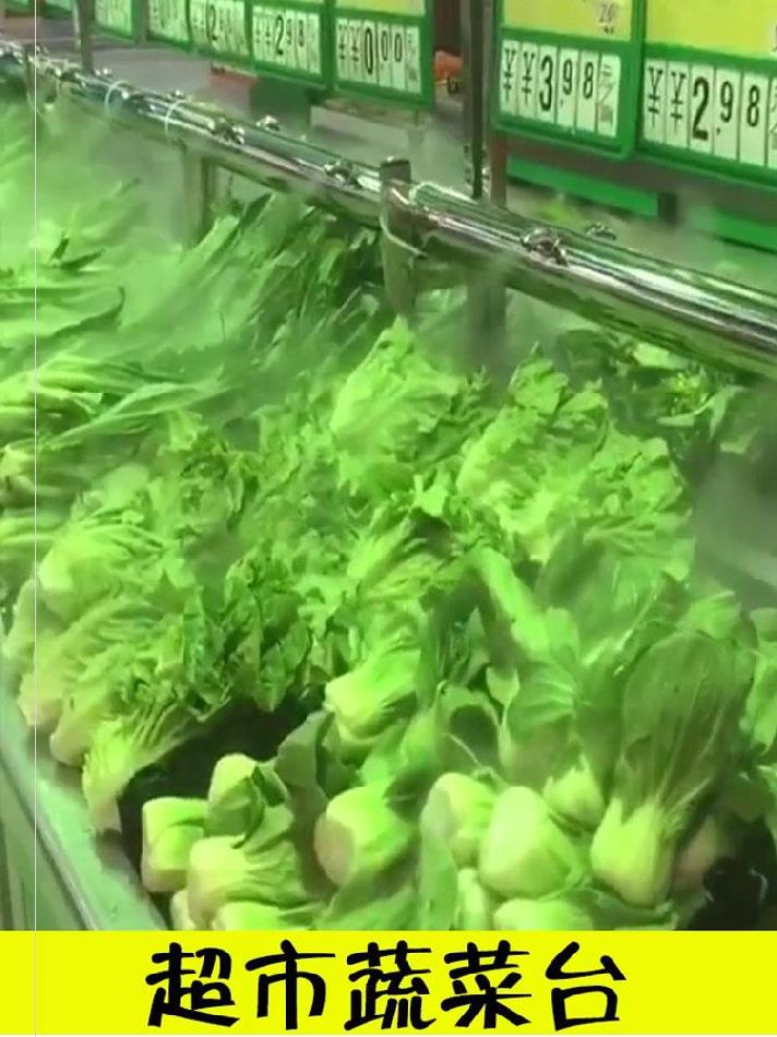 大棚種植種植場計算機房養殖場增濕器園林場景造霧工業加濕器車間在類目 生活電器, 加溼器中 - 來自Buy2taobao.com提供專業的淘寶代購服務