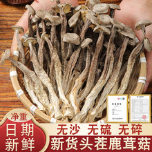 新货鹿茸菇干货鹿茸菌特产级野生脆脆菇干煲汤500g蘑香菇云南菌子