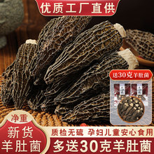 羊肚菌干货特产级野生500g新鲜菌菇煲汤干货旗舰店礼盒云南菌子