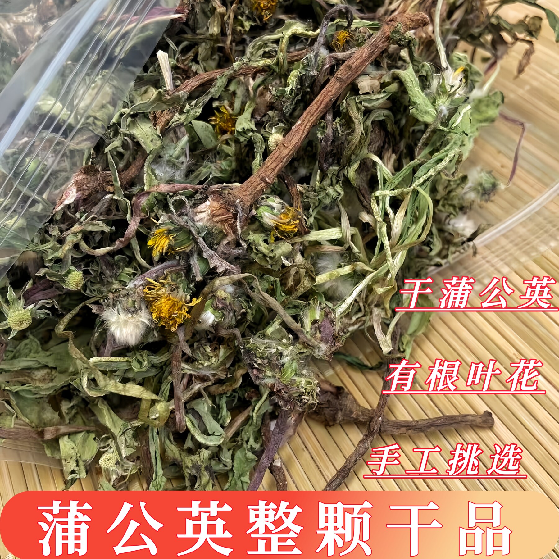 整颗蒲公英干品有根叶花精选2026