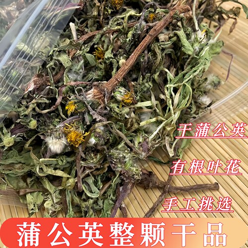 整颗蒲公英干品有根叶花精选2026