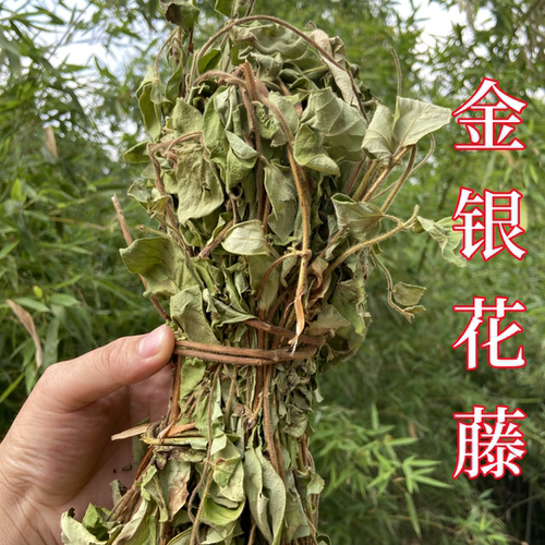 金银花藤新鲜晒干忍冬藤泡澡用