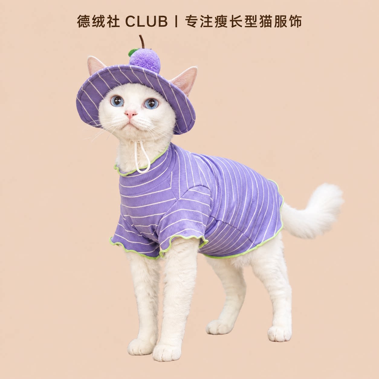 夏季无毛猫带帽空调服套装图片