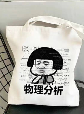 物理公式概论印花大容量帆布包袋