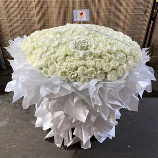 超大情人节299朵白玫瑰花束生日礼物送老婆爱人北京同城鲜花速递