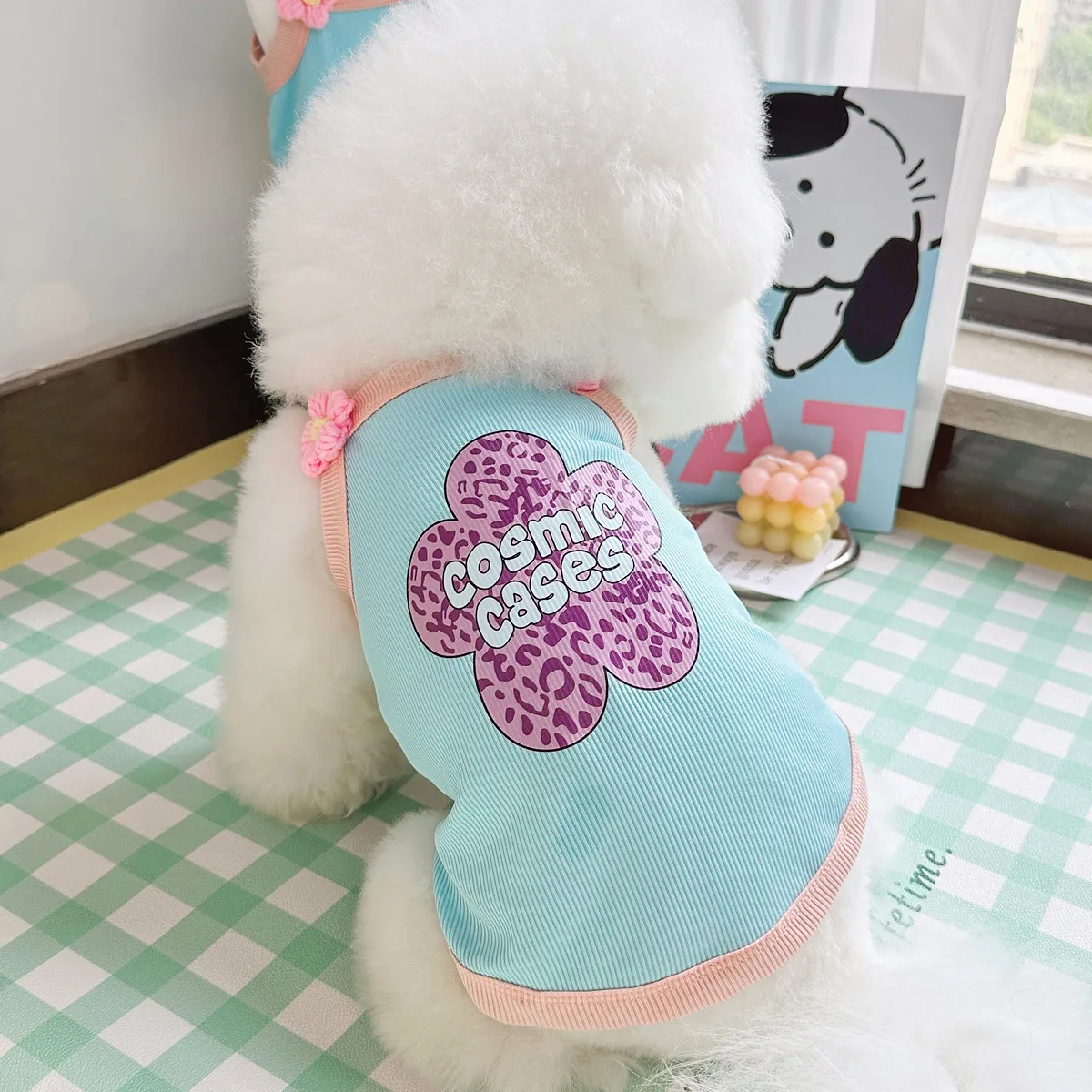 狗狗衣服夏季薄款冰丝背心猫咪防掉毛透气比熊泰迪小型犬宠物服饰