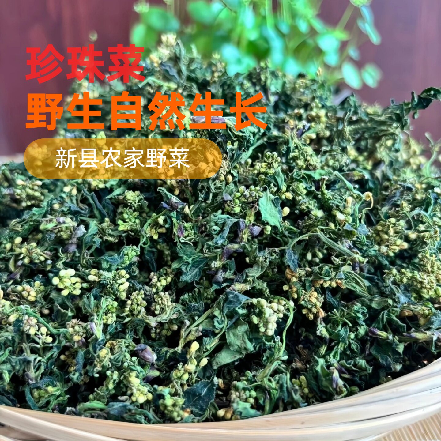 大别山新县珍珠菜花儿菜特产野菜农家手工晾晒新鲜干菜将军菜散装