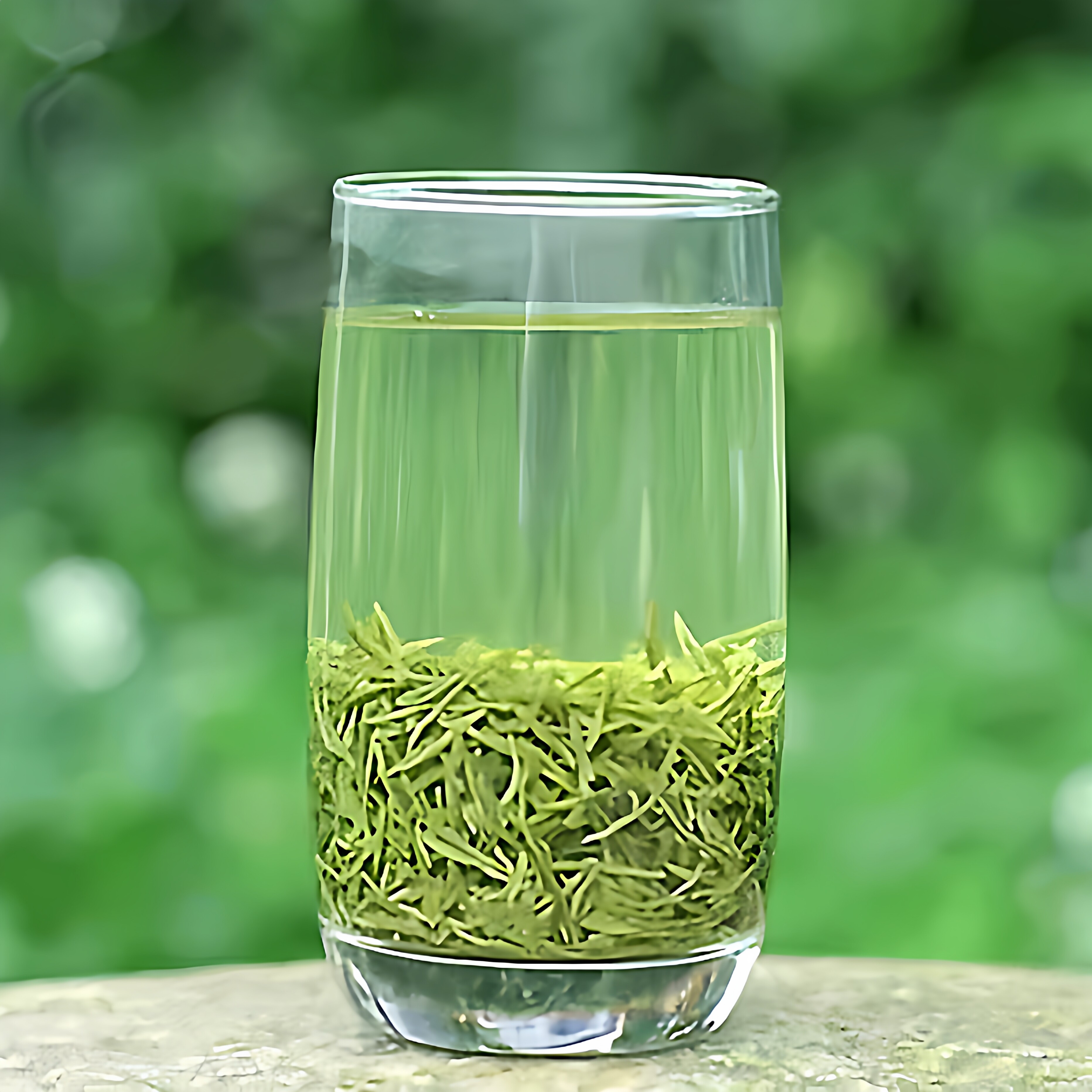 2025新茶信阳毛尖明前茶新茶绿茶毛尖手工采摘头芽野生茶100g礼盒