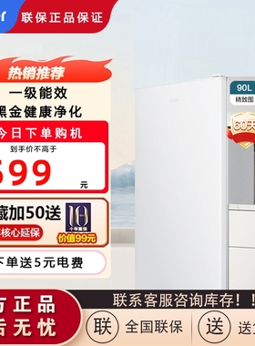 Haier/海尔 BC-90GHSDE0W9一级能效黑金净化出租房宿舍家用小冰箱