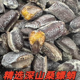 桑螵蛸螳螂卵生刀螂籽新货鲜桑螵蛸螳螂卵鞘当季螳螂蛋包邮新货