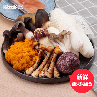 新鲜菌菇组合姬松茸牛肝菌羊肚菌鹿茸菇火锅菌组合炖汤爆炒鲜菌菇