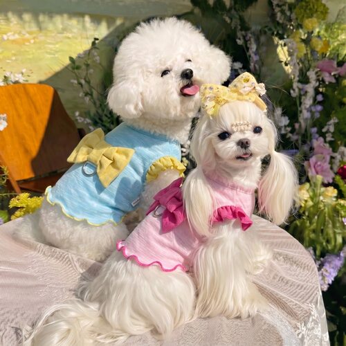 夏季新新宠物中小型猫咪狗狗衣服韩系短款蝴蝶结背心美短比熊西施