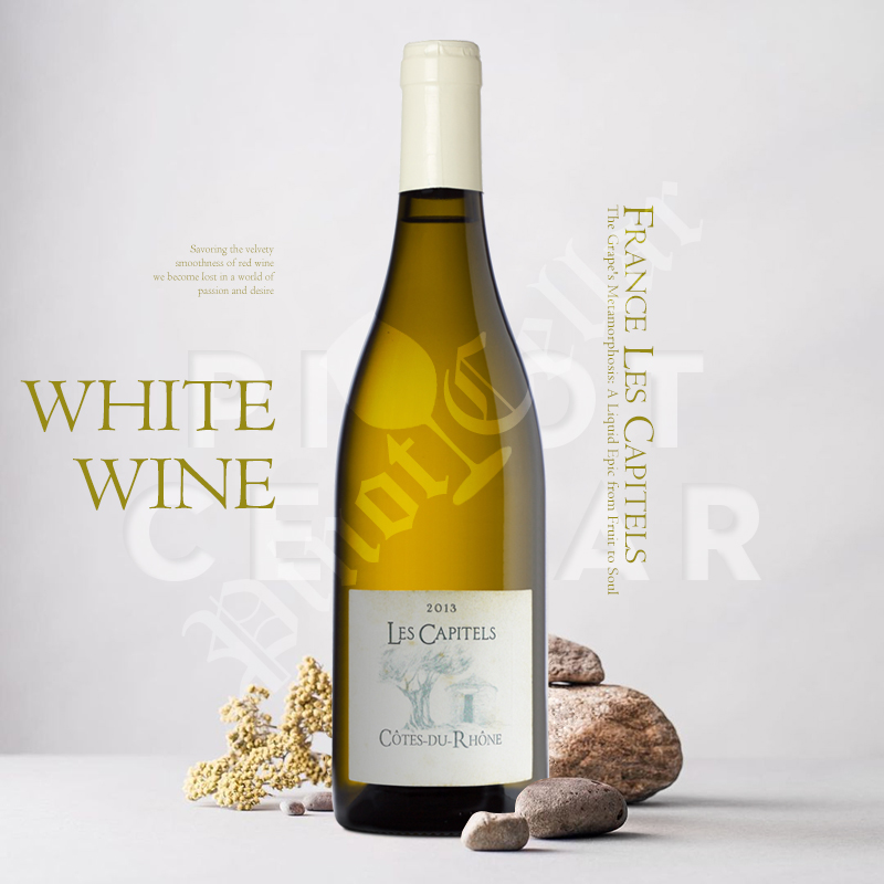 拉卡伯特法国罗纳河谷干白
