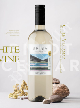 2022 维斯特玛 Vistamar Brisa Sauvignon Blanc 长相思 葡萄酒