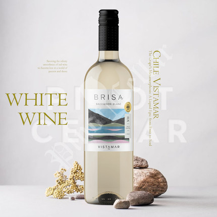 2024 维斯特玛 Vistamar Brisa Sauvignon Blanc 长相思 葡萄酒
