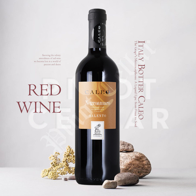 波特普利亚干红内格罗阿玛罗