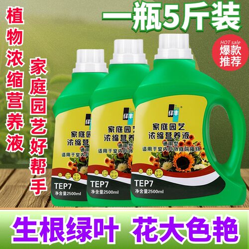 植物营养液绿萝发财树通用型
