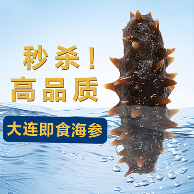 辽宁大连即食海参500g 顺丰包邮 滋补佳品 辽刺参底播深海海参