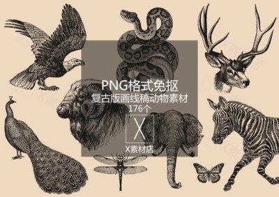 AI/PNG复古版画线稿 手绘爬行动物鸟类昆虫蜘蛛素材拼贴collage