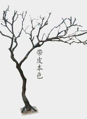 干树枝造景干枝树干许愿树枯树室内庭院造型树枝干原木树枝装饰树