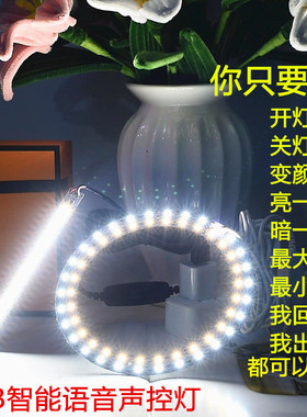 高亮LED智能语音声控灯USB灯调光调色5W6W10W12W14W30W会听话的灯
