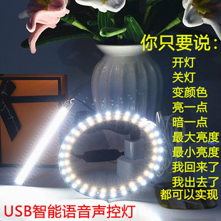 高亮LED智能语音声控灯USB灯调光调色5W6W10W12W14W30W会听话的灯