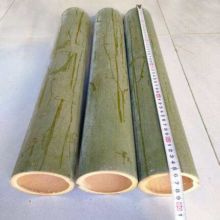 老楠竹盘鹰风筝鸟笼专用竹筒长度50厘米以上空心竹筒