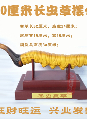 虫草摆件软装装饰礼品工艺品