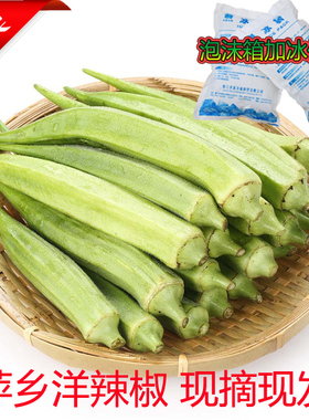 萍乡黄秋葵洋辣椒农家六角豆羊角豆500g一斤江西绿色蔬菜时蔬时价