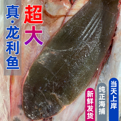 当天上岸超大新鲜龙利鱼舌鳎鱼