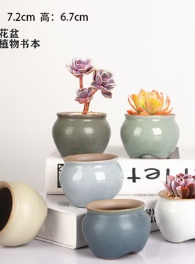 透气简约陶瓷胡巴陶瓷肉肉花盆