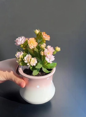 高颜值圆形室内可爱小圆点粉蓝绿色透气有孔多肉绿植陶瓷小花盆