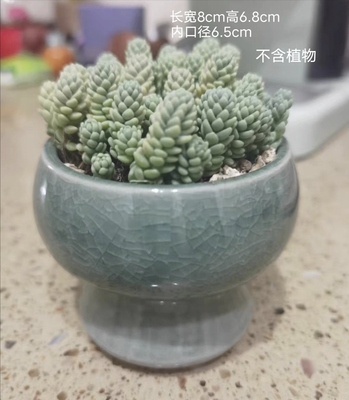 窑变透气小老桩简约陶瓷肉肉花盆