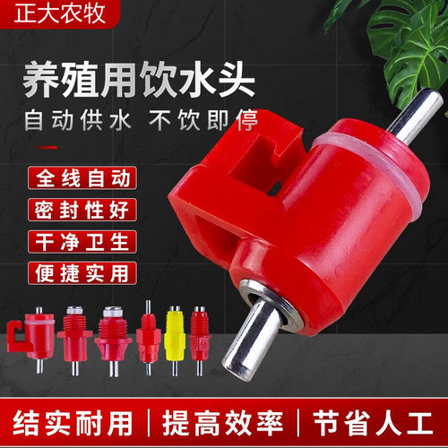 鸡用自动饮水器饮水头球阀饮水器大小鸡用钢球饮水器鸡用大红头