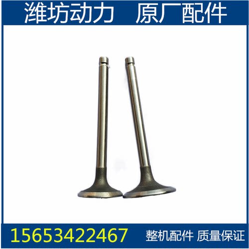 潍坊潍柴华丰4100 4102 ZHBG ZH4105 发电机组装载机 进排气门