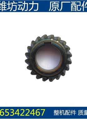潍坊潍柴华丰4100 ZHAG 4102 ZH4105 曲轴齿轮 柴油机配件