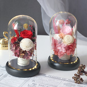 永生花玫瑰玻璃罩摆件礼盒发光保鲜花成品带灯情人节礼物创意礼品