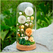 永生花蒲公英玻璃罩摆件母亲节教师节礼盒生日礼物送女生创意礼品