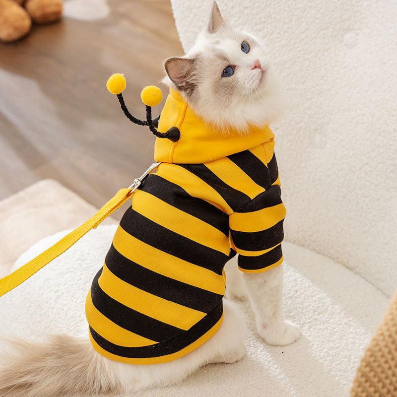 秋冬季猫咪衣服可爱小蜜