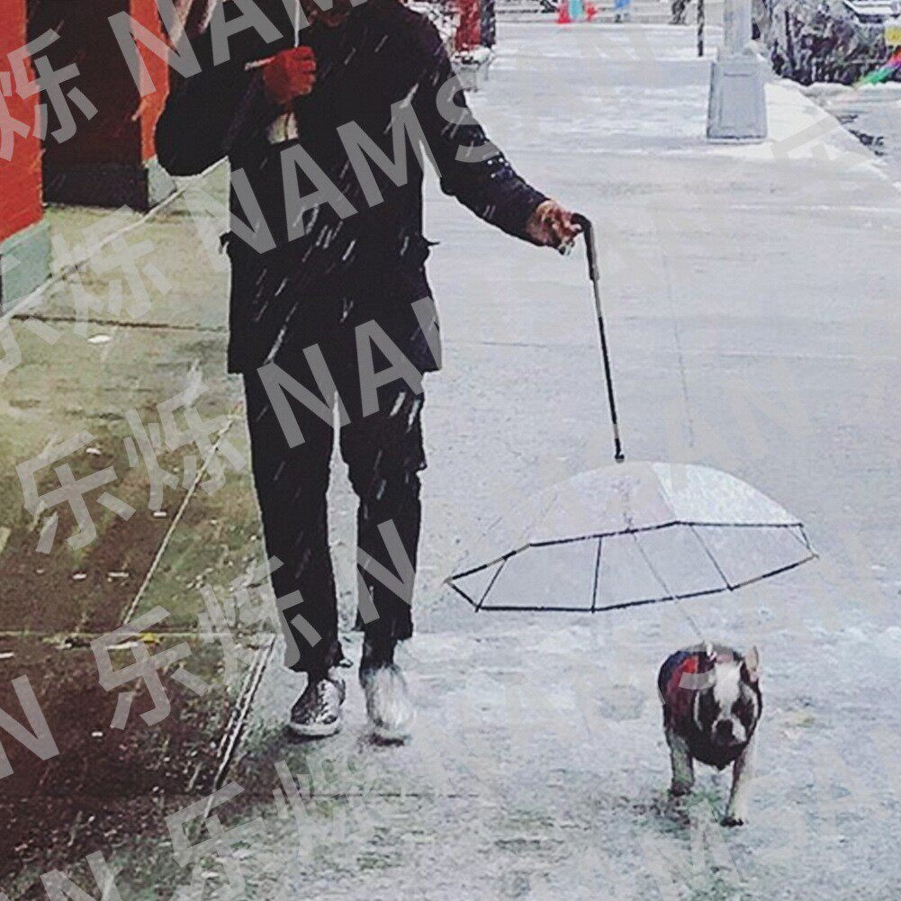 透明宠物伞狗雨用品厂家