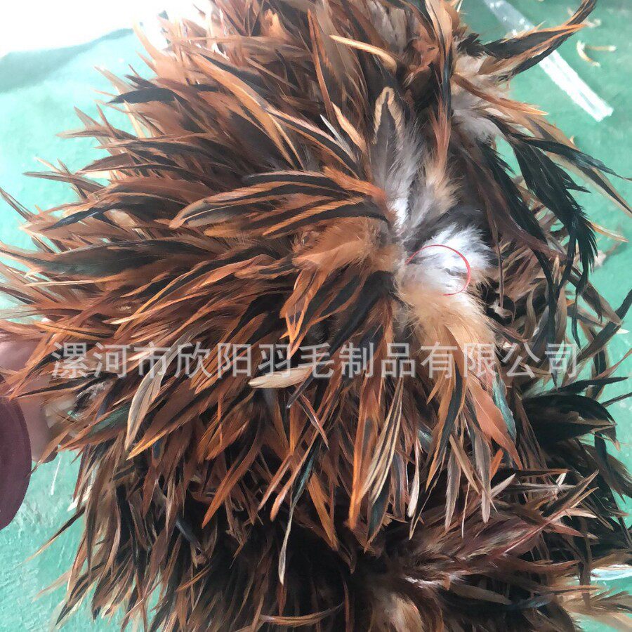 鸡毛弹子清洁掸尘掸灰尘