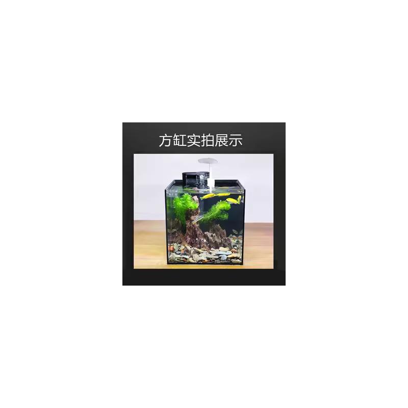 【方缸链接】金晶超白玻
