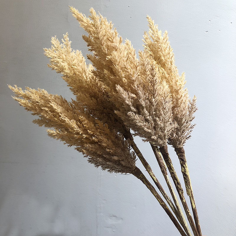 仿真芦苇狗尾巴草落地盆