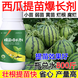西瓜生根剂生根液西瓜提苗爆长剂黄苗弱苗烂根壮根提苗生根剂肥料