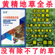 黄精除草剂快速杀杂草中药田苗后除草剂杀香附烂根苗后除草剂农药