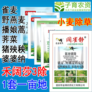 小麦除草剂麦田双氟唑嘧胺氟唑磺隆二甲四氯钠农药小麦苗后除草剂