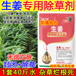 生姜除草剂生姜专用除草剂生姜专用除草剂禾阔双除不伤苗狗尾草