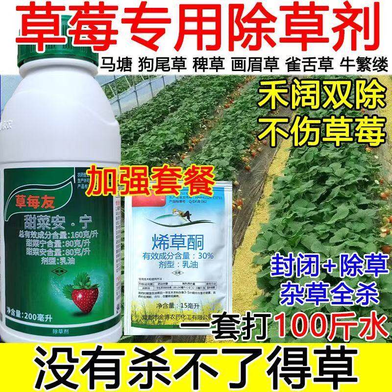 草莓除草剂草莓友净禾阔双除草莓苗后专用除草剂牛筋草马齿笕马塘