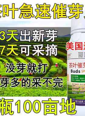 茶叶叶面肥茶叶催芽剂930催芽素促长剂生长素茶树催芽先锋肥料
