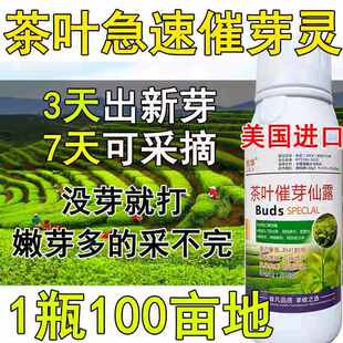 茶叶叶面肥茶叶催芽剂930催芽素促长剂生长素茶树催芽先锋肥料